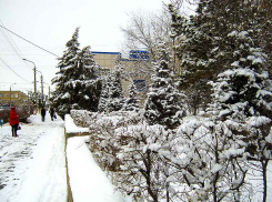 В Камышине сегодня и в начале недели пропишутся морозы