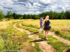 3 августа в Камышине вероятен небольшой дождь, но 33-градусной жары он не собьет