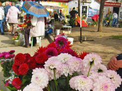 Камышане давно уже не  встречали 1 сентября с +36: погода в День знаний и после