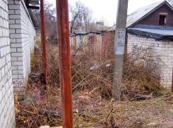 Деревья спилили, и весь древесный хлам свалили к гаражами: доброе утро, вот вам новая помойка! - камышанин