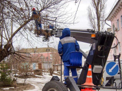 В Камышине коммунальщики провели обрезку и измельчение веток деревьев вдоль линий электропередач