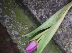 Для камышан немного увеличилось похоронное пособие