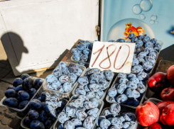 На камышинских рынках обычная слива стала стоить, как дорогой десерт