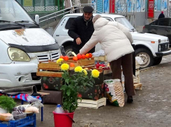 Администрация Камышина не без гордости доложила горожанам о тысяче торговых мест на городских рынках, но...