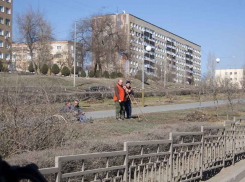 В Камышине начали убирать прошлогодние листья и ветки