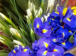 В Камышине весна наступит в феврале