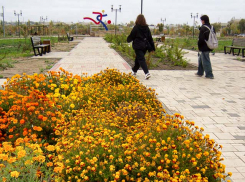 Администрация Камышина отменила студенческий фестиваль в парке Текстильщиков 2 ноября