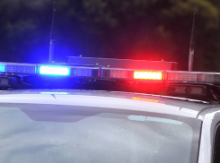 Полиция задержала дерзких грабителей, ночью силой вырвавших телефон у мужчины и пытавшихся скрыться на автомобиле