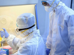 После семи летальных исходов от ковида накануне сегодня, 7 февраля, в Волгоградской области их еще 6