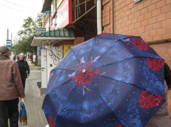 В Камышине в пятницу пройдет дождь и похолодает