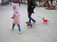Серость, холодная слякоть и ветер в Камышине: у природы все же случается плохая погода