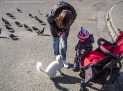 Камышанам перепало от природы два летних дня