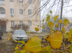 В первый день зимы температура воздуха в Камышине упала до 1 градуса мороза