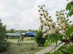 Сильный северо-западный ветер и резкое похолодание пришли в Камышин