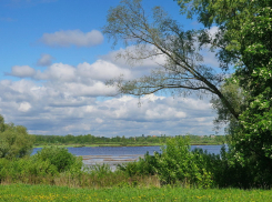 Прозвучал приговор развратнику-пенсионеру, надругавшемуся на хуторе над тремя несовершеннолетними девочками