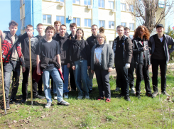 В Камышине об участии в субботнике в открытом доступе «отчитались» только студенты КТИ