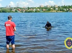 Почему камышане улыбнулись заметке о водолазах в Камышинке