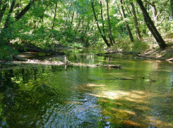 Тело новорожденного ребенка обнаружено в реке