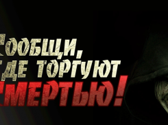 В Камышине и области началась акция «Сообщи, где торгуют смертью!»