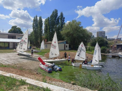 В Камышине прошло первенство Волгоградской области по парусному спорту, в котором камышане выглядели достойно