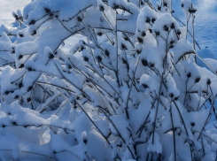 Инна Друзина, глава города Петров Вал Камышинского района, где в гололед упал и умер школьник,  отказалась комментировать, чем власти помогут несчастной семье