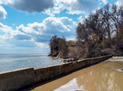 Непросыхающее болото портит вид центральной набережной Камышина: надо укреплять Висельный овраг! - камышанка