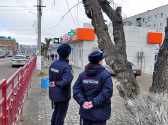 Аудиторы выяснили, что в Камышине борьба с наркоманией за бюджетные деньги ведется с «букетом» нарушений