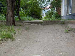 «Стоп-проход» по-камышински: в шестом микрорайоне появляются самодельные «путевые знаки»