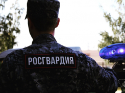 Росгвардейцы задержали в Камышине пенсионерку, похитившую мобильник у 18-летней девушки и объявленную в региональный розыск