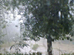 ГУ МЧС предсказало, что в Камышине и Камышинском районе в вечерние часы начнется сильный дождь со шквалистым ветром