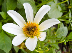 В Камышин вернулась 30-градусная жара, температура воды в Камышинке +22.