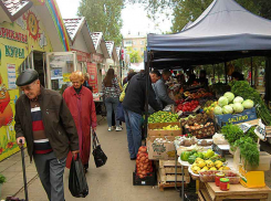 В Камышине понемногу начинают дорожать сезонные овощи