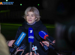Замгубернатора Волгоградской области Зина Мержоева ушла в отставку, - «Блокнот Волгограда»