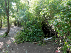 Что за странные шалаши строят у городского парка в Камышине? - камышанка