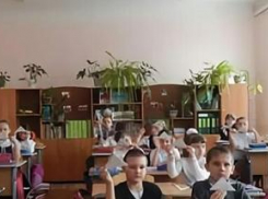 У моего сына аллергия на растения, а в классе все окна заставлены горшками с цветами, - камышанка