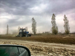 В Камышине активизировалась прокладка защитных противопожарных полос у трассы