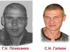 Координатор Волгоградского «ВолгоСпаса» в Камышине предлагает добровольцам принять участие в поиске пропавших камышан