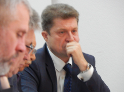 Камышане потеряли своего главу из виду, а он, оказывается, ведет прием - правда, через «ячейки»
