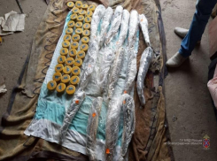 СК: в тайниках банды нашли 20 литров черной икры и 80 туш осетров