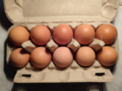 В Камышине куриные яйца идут на ценовой рекорд