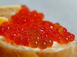 В преддверии Нового года Роспотребнадзор просветил жителей Волгоградской области, как выбирать красную икру