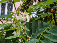 Свет и воду будут отключать коммунальщики в Камышине 3 сентября