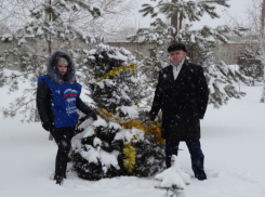 В Камышинском районе «Единая Россия» нарядила натуральные елки в селах