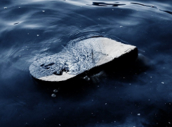 Неудачно нырнул: купальщик скончался после водных процедур, - «Блокнот Волгограда»