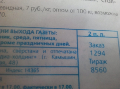 Администрация Камышина рекламирует собственные СМИ на сайте мэрии и световом экране у вокзала, но аудитория ресурсов в рост не идет