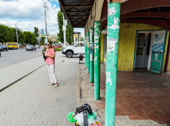 Почему в Камышине никто не может толком организовать вывоз мусора из урн? - камышанка