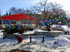 Зачем на ветки живого дерева навязывать тряпки? - камышанка