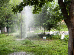 +35 - и на небе ни облачка: «раскаленная» погодная повестка в Камышине на выходные не претерпела изменений