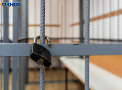 Собирала деньги для террористов: молодую фанатку боевиков поймали в Волгоградской области, - «Блокнот Волгограда»