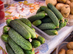 Почему тарелка окрошки подорожала в Волгоградской области